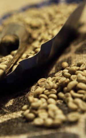La-Produzione-Caffe-Milani-1024x683